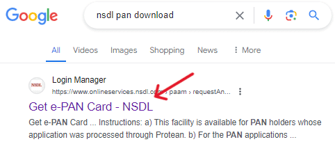 Open the NSDL Portal